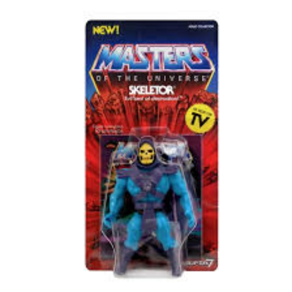 Skeletor and Heman action figure